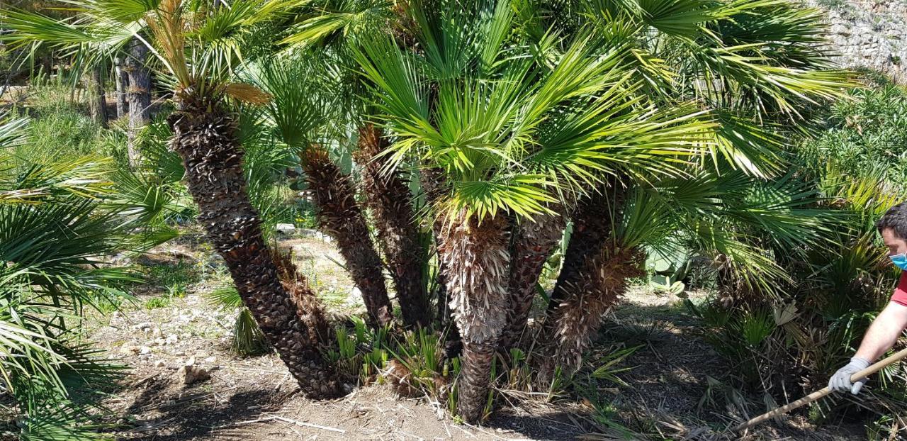 La Pineta Al Mare Daire Erice Dış mekan fotoğraf